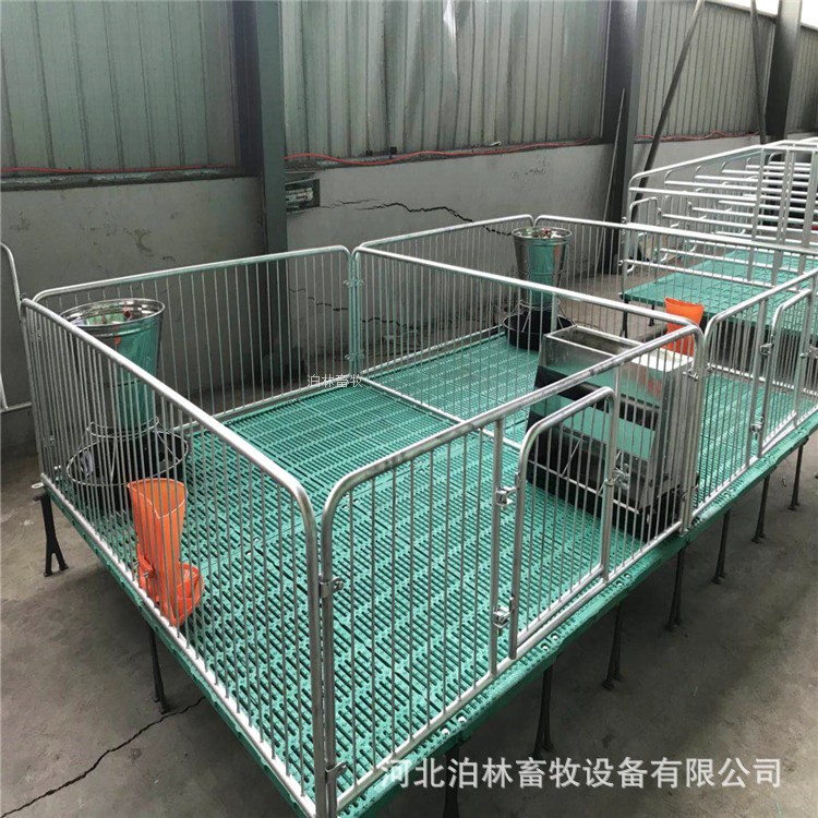 现货批发母猪产床仔猪保育床小猪保育床热镀锌保育床猪用养殖设备图4
