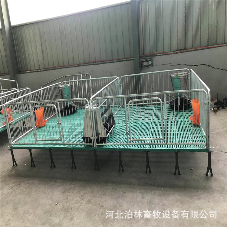 现货批发母猪产床仔猪保育床小猪保育床热镀锌保育床猪用养殖设备图2