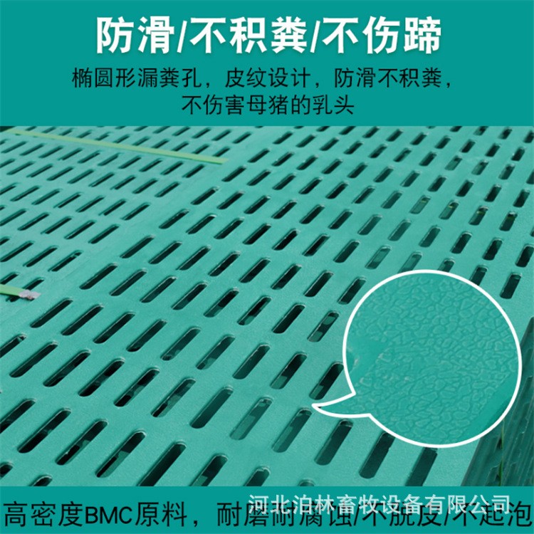 批发双筋复合漏粪板养殖猪用BMC漏粪板产床定位栏复合漏粪板现货图4