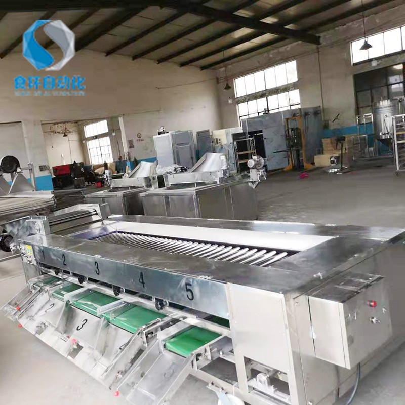 番茄滚杠分级机 滚杠式芋头选果机 土豆重量分选机价格 厂家供应图3