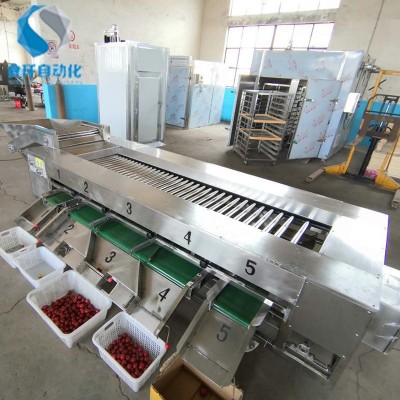 番茄滚杠分级机 滚杠式芋头选果机 土豆重量分选机价格 厂家供应