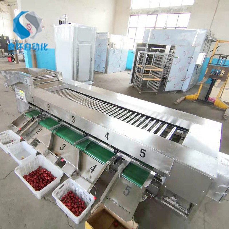 番茄滚杠分级机 滚杠式芋头选果机 土豆重量分选机价格 厂家供应图4