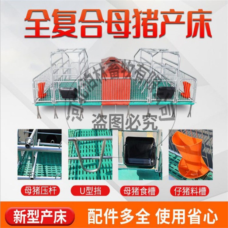 母猪产床分娩床双体产保两用猪用落地产床单双体保育一体养殖设备图4
