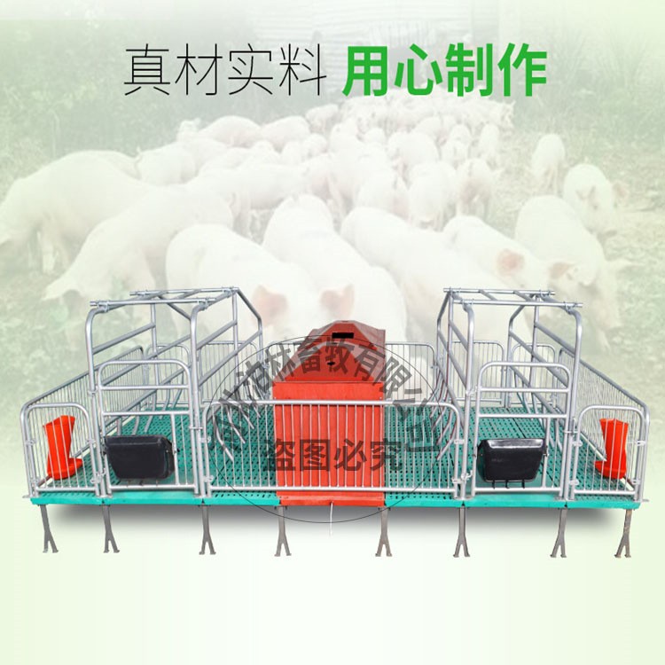 母猪产床分娩床双体产保两用猪用落地产床单双体保育一体养殖设备图3