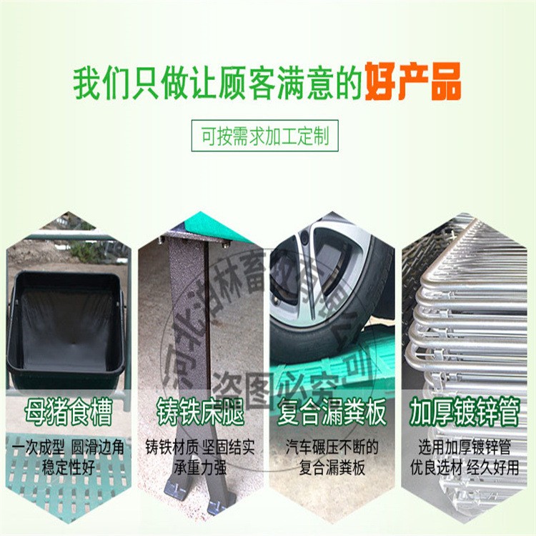 母猪产床分娩床双体产保两用猪用落地产床单双体保育一体养殖设备图2