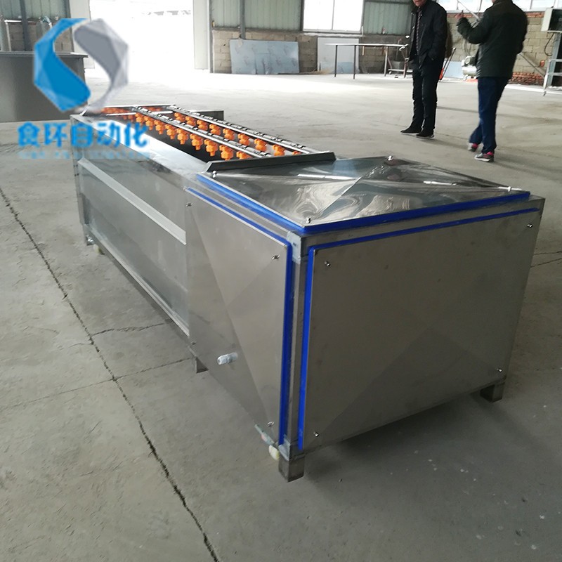 大型毛棍清洗机 莲藕土豆毛棍去皮清洗机 海蛎子毛刷清洗去皮机图5