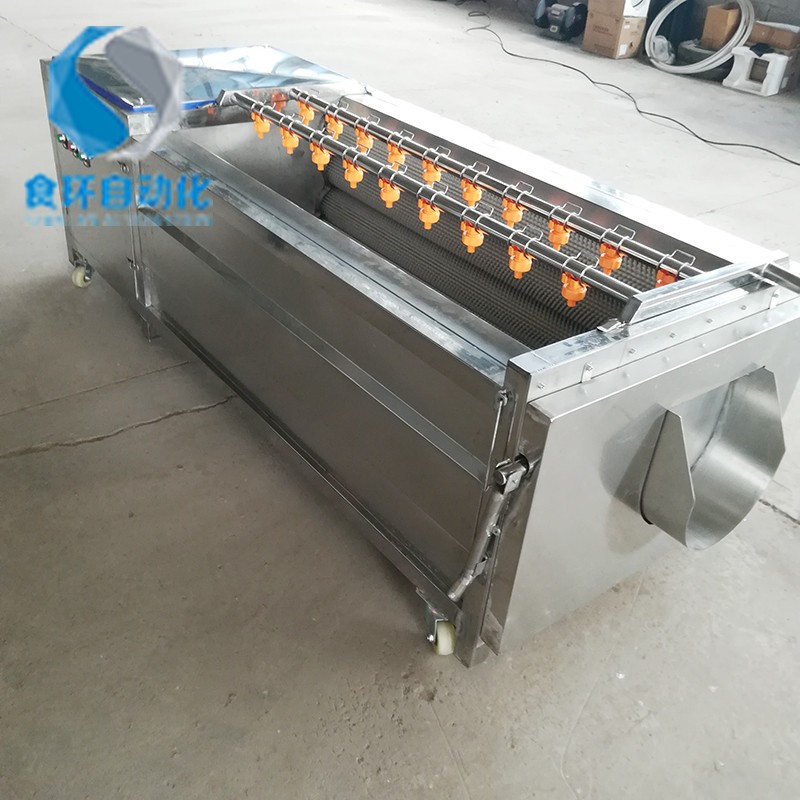 大型毛棍清洗机 莲藕土豆毛棍去皮清洗机 海蛎子毛刷清洗去皮机图2