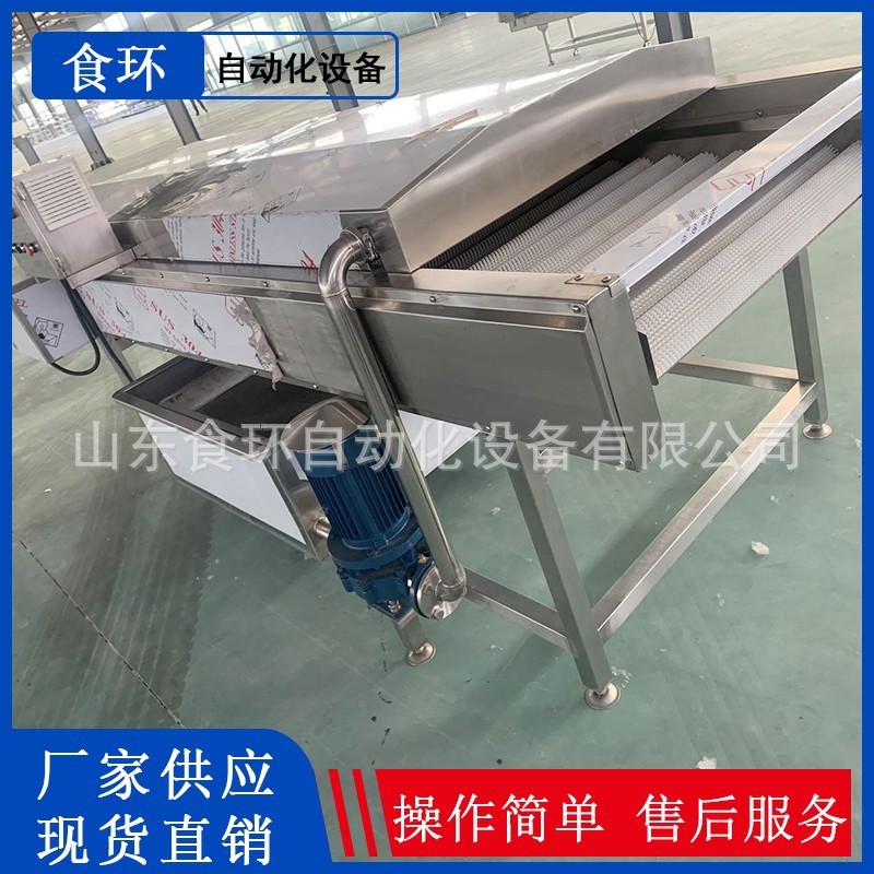 根茎类毛辊土豆去皮清洗机 全自动商用土豆清洗去泥机毛刷清洗机图3