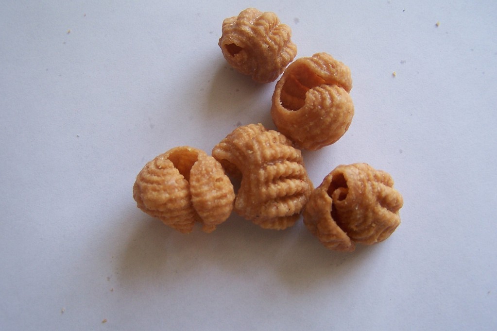 供应MST多功能面食机、空心面条机 、意大利面创业好项目图4