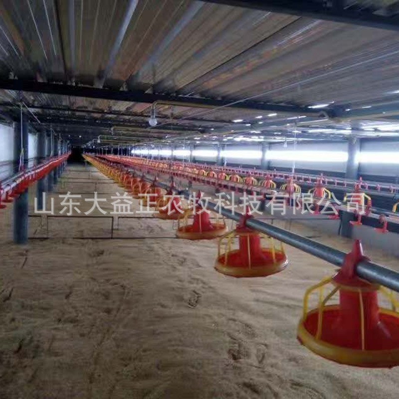 厂家定制全自动养殖水料线喂料线鸡鸭鹅养殖盘式料线鸡舍饲养设备图3