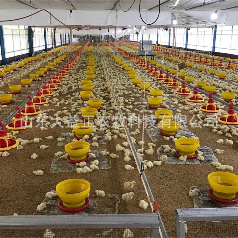 厂家定制全自动养殖水料线喂料线鸡鸭鹅养殖盘式料线鸡舍饲养设备图4
