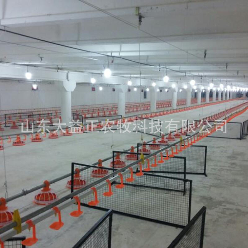 厂家定制全自动养殖水料线喂料线鸡鸭鹅养殖盘式料线鸡舍饲养设备图2