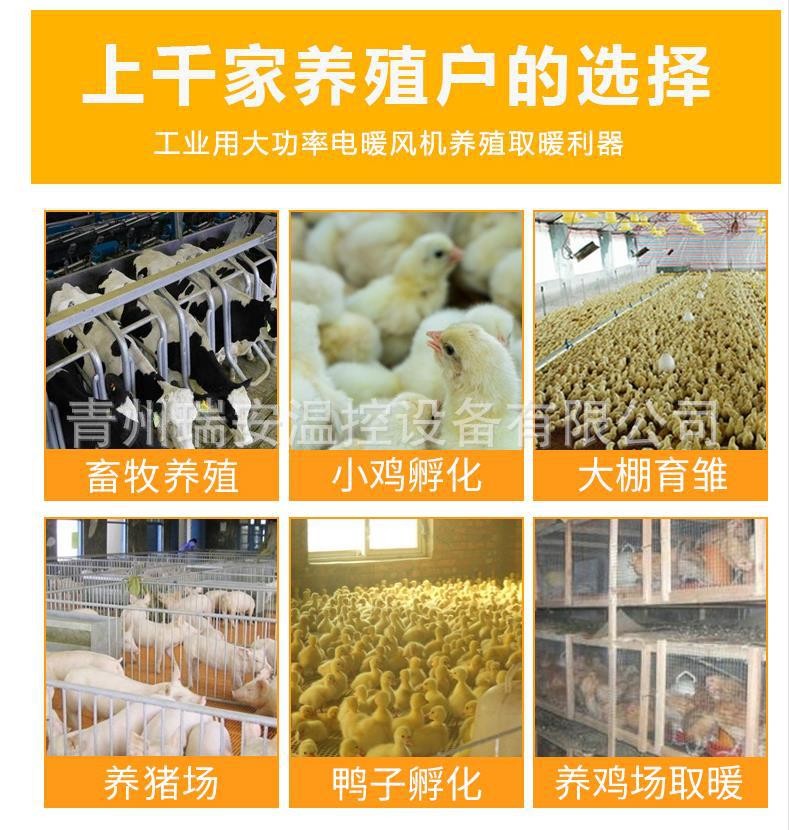 工业电暖风机 加温设备 养殖育雏温室热风炉 220v10kw养殖暖风机图4