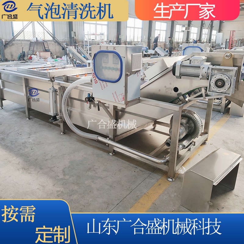定制叶菜类净菜气泡式清洗机蔬菜清洗风干流水线苹果水果清洗机图4