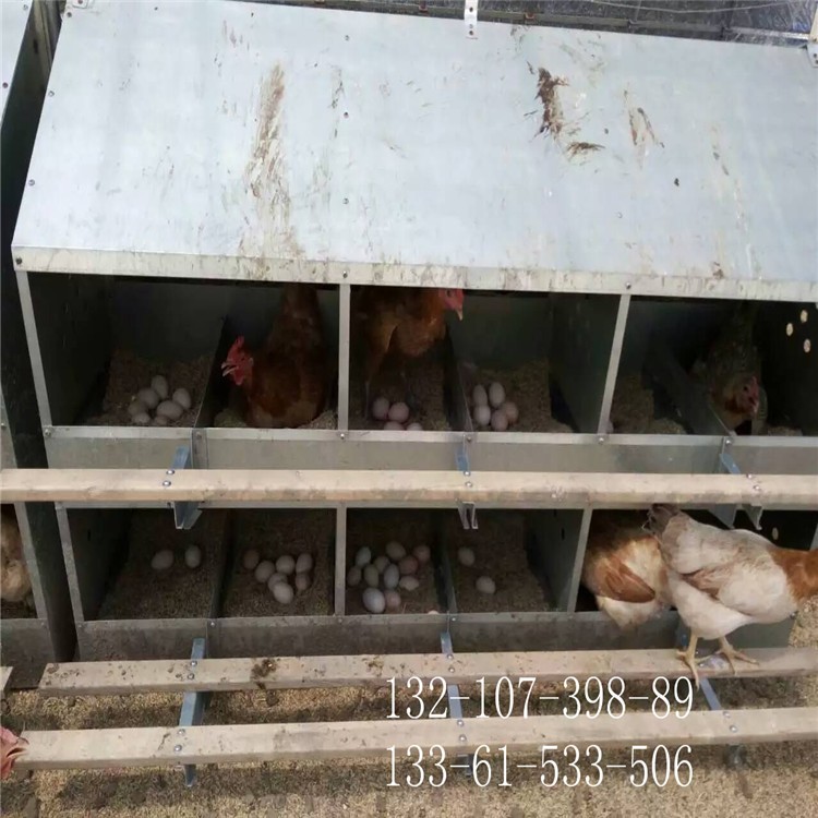 散养鸡产蛋窝 鸡用产蛋窝 镀锌板产蛋箱图4