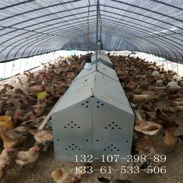 散养鸡产蛋窝 鸡用产蛋窝 镀锌板产蛋箱图5