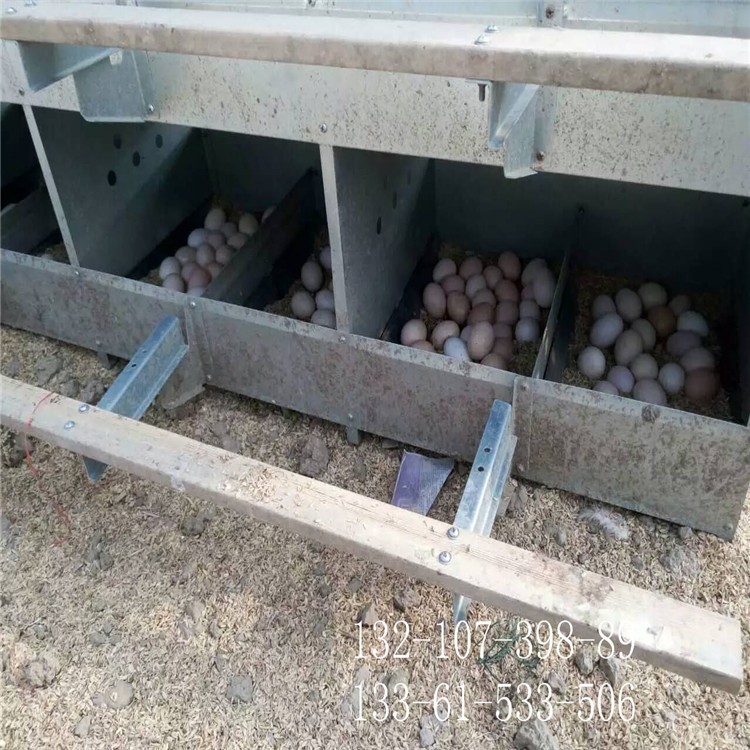 散养鸡产蛋窝 鸡用产蛋窝 镀锌板产蛋箱图3