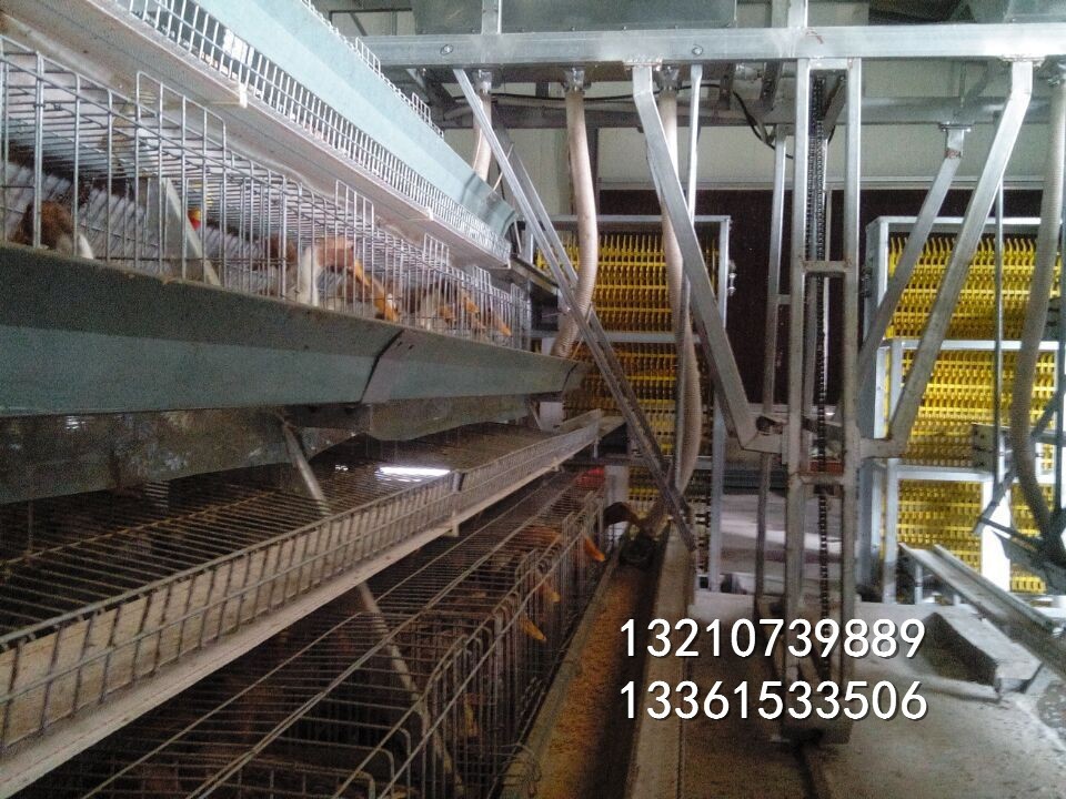 蛋鸭全自动笼子 三层鸡场专用 笼子价格便宜质量放心图2
