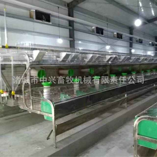 新型兔笼 24笼位品字形兔笼 规模养殖用兔笼图4