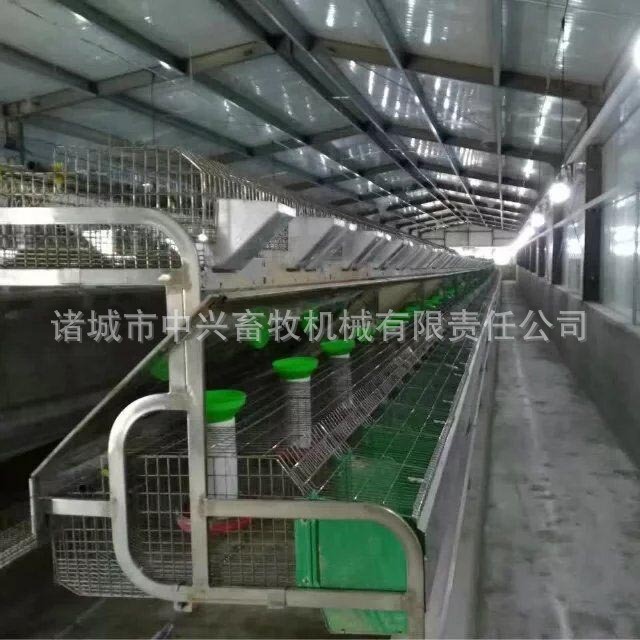 新型兔笼 24笼位品字形兔笼 规模养殖用兔笼