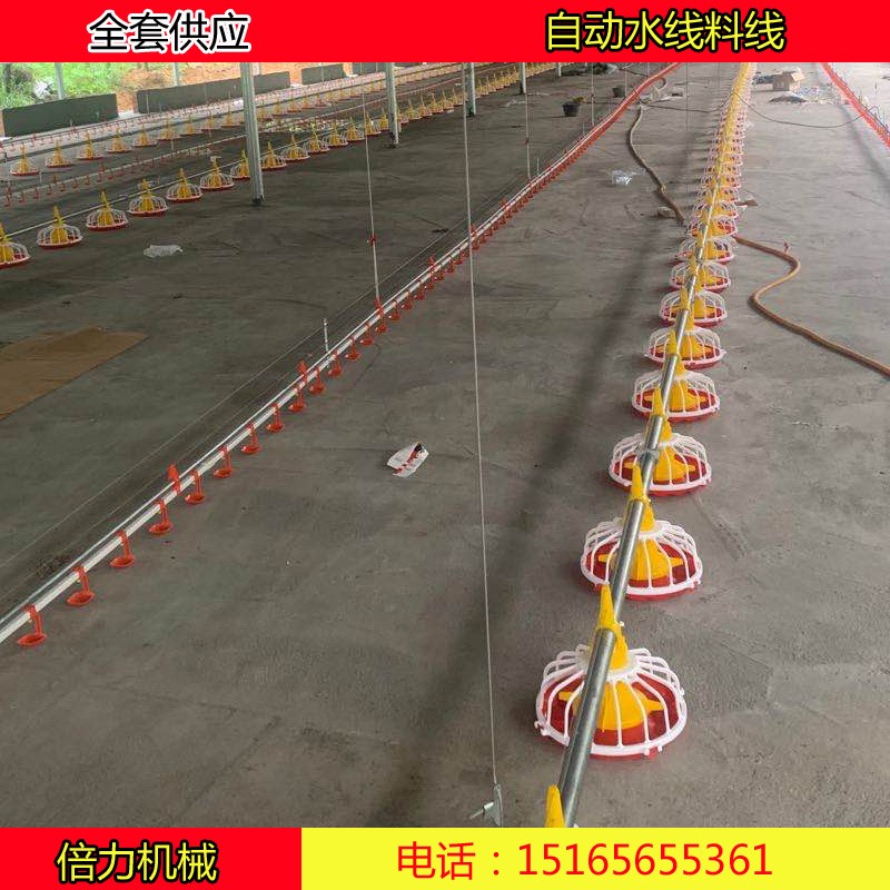 畜牧养殖设备鸡自动料线水线喂食器饮水器自动上料机山东料线厂家图2
