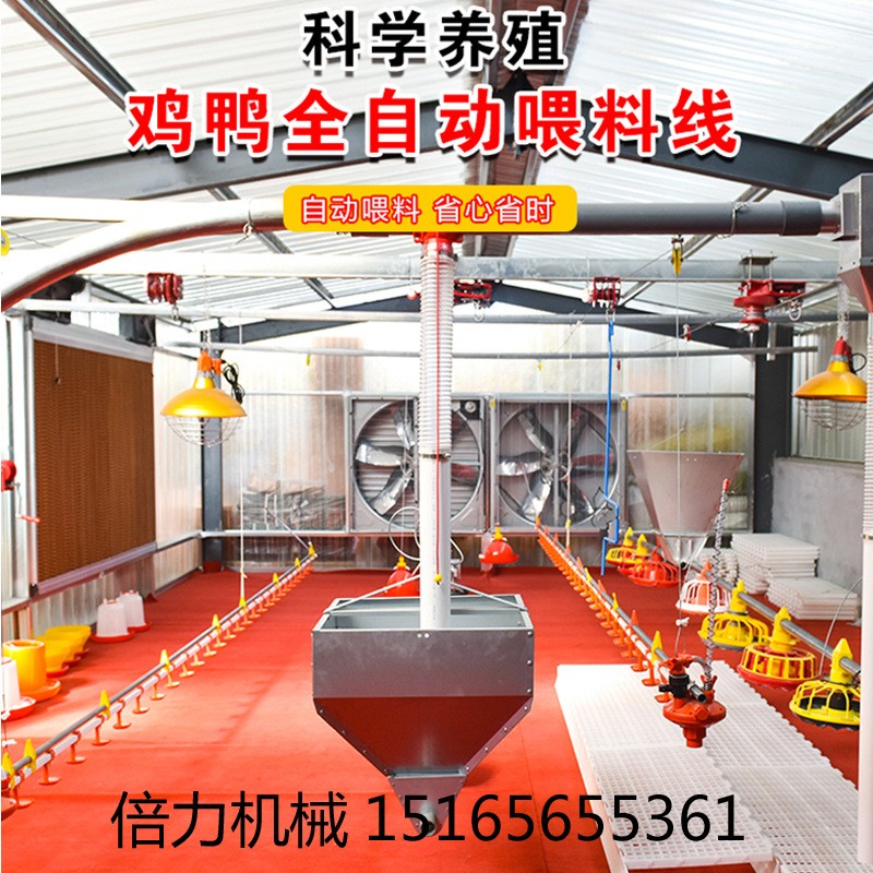 畜牧养殖设备鸡自动料线水线喂食器饮水器自动上料机山东料线厂家