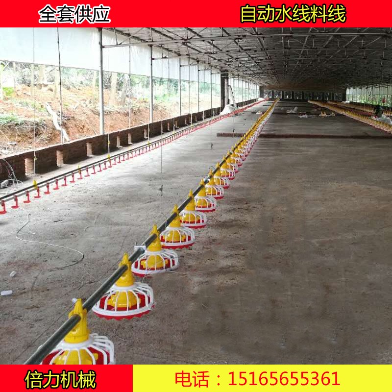 畜牧养殖设备鸡自动料线水线喂食器饮水器自动上料机山东料线厂家图5