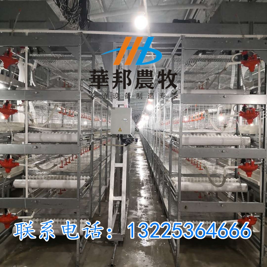 三黄鸡 肉鸡笼养设备料盘式自动清粪三层笼养设备鸡笼养殖设备图4