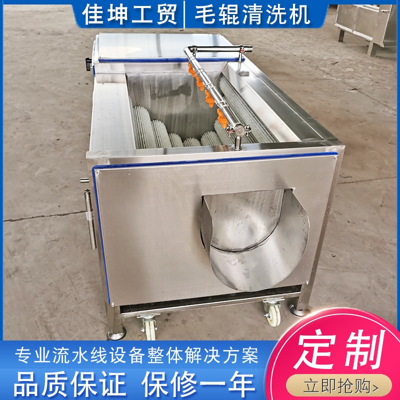 全自动毛辊清洗机 土豆胡萝卜去皮清洗机 海蛎子去泥清洗设备图2