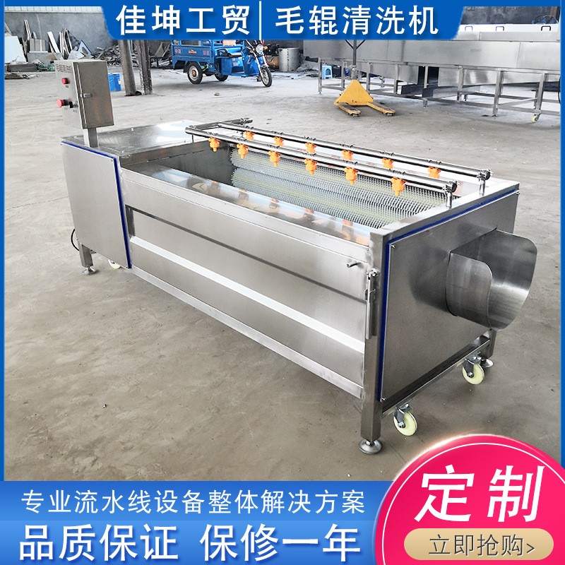 全自动毛辊清洗机 土豆胡萝卜去皮清洗机 海蛎子去泥清洗设备图3