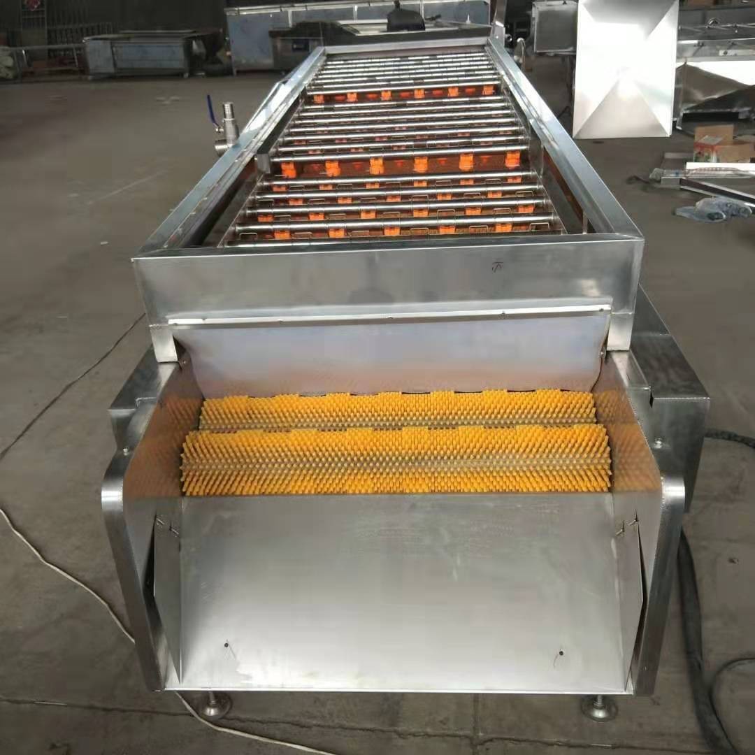 供应海蛎子扇贝毛辊清洗机 土豆红薯去皮清洗设备 平行毛辊清洗机图2