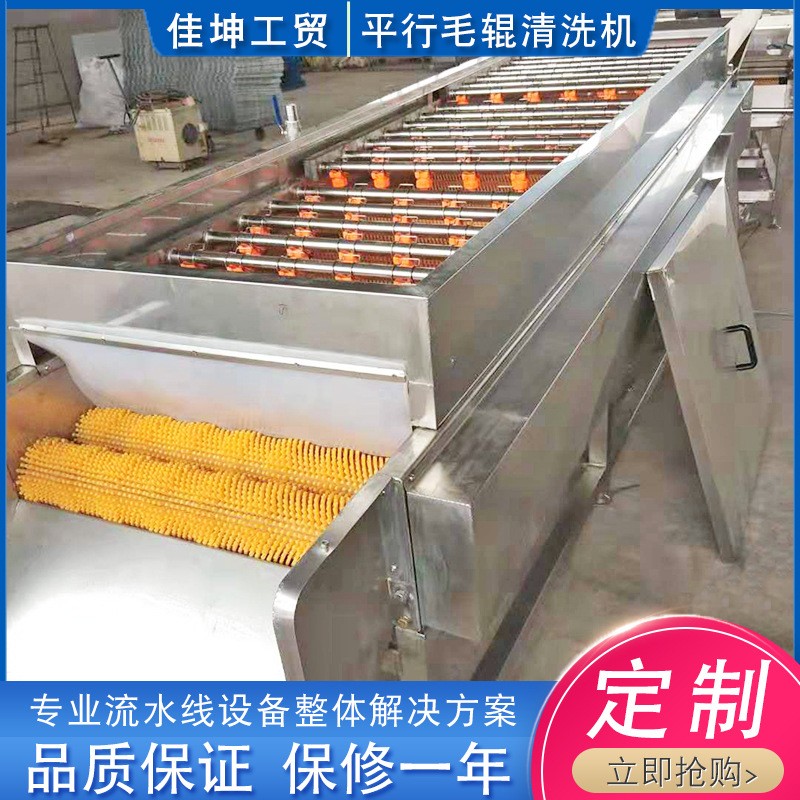 供应海蛎子扇贝毛辊清洗机 土豆红薯去皮清洗设备 平行毛辊清洗机图4