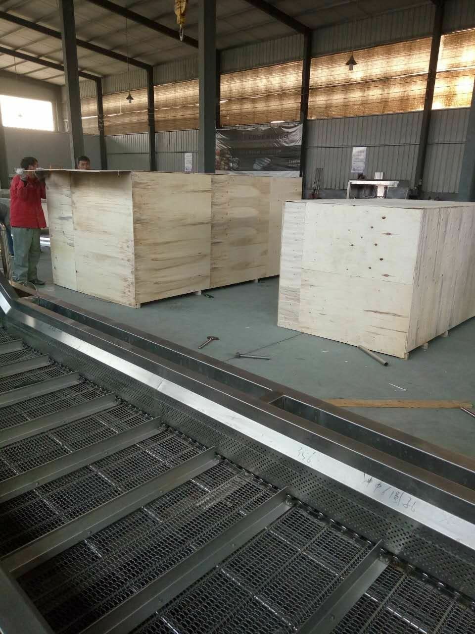 热销苹果加工生产线 苹果清洗打蜡分级包装线 山东旭菲图3