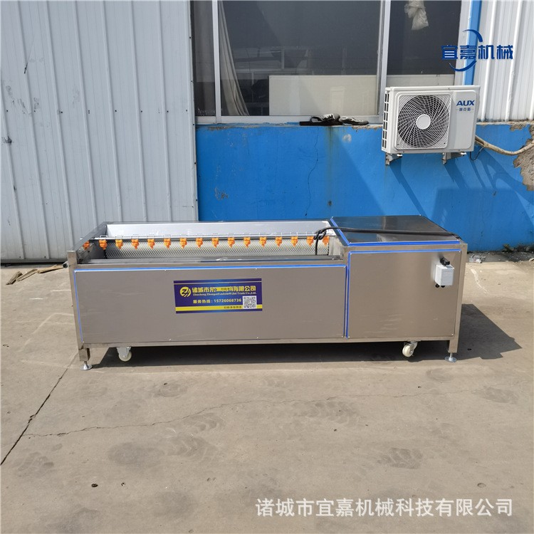 商用不锈钢马蹄清洗机器土豆猪蹄猪头羊头羊蹄毛棍刷黑炭清洗设备图2