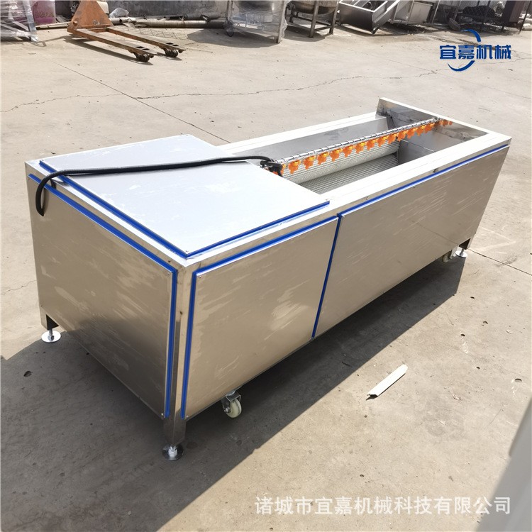 不锈钢毛棍刷清洗机土豆红薯莲藕胡萝卜荠菜脱皮去皮清洗泥沙设备图2