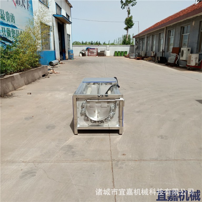 商用海产品清洗机 土豆红薯去皮清洗机 田螺海参中药马蹄清洗机器图2