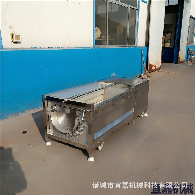 商用海产品清洗机 土豆红薯去皮清洗机 田螺海参中药马蹄清洗机器图5