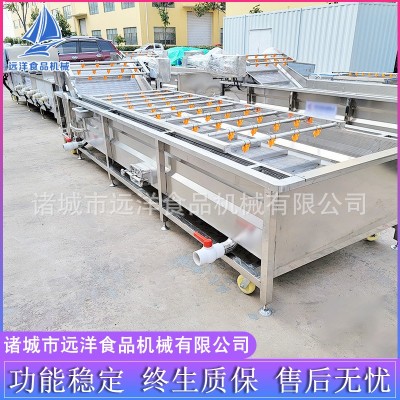 果蔬清洗机 多功能蓝莓葡萄清洗机 喷淋气泡水果蔬菜清洗流水线