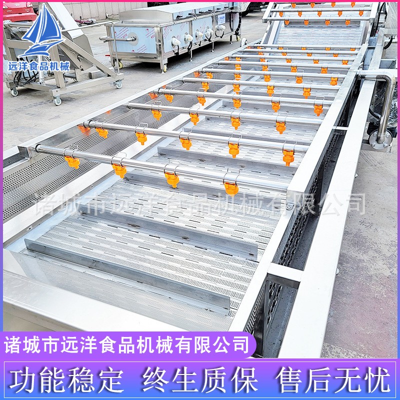 果蔬清洗机 多功能蓝莓葡萄清洗机 喷淋气泡水果蔬菜清洗流水线图2