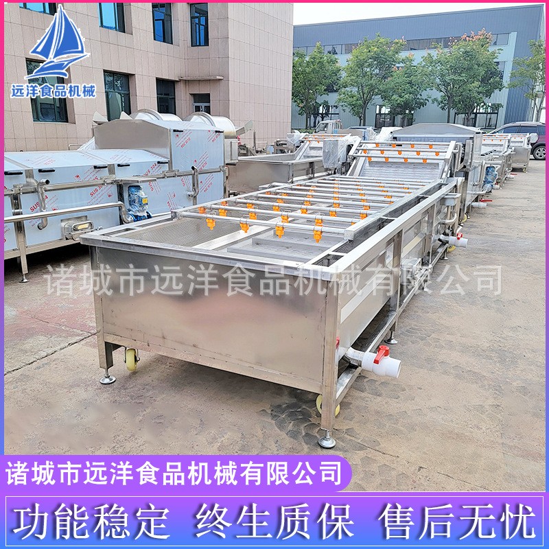 果蔬清洗机 多功能蓝莓葡萄清洗机 喷淋气泡水果蔬菜清洗流水线图3