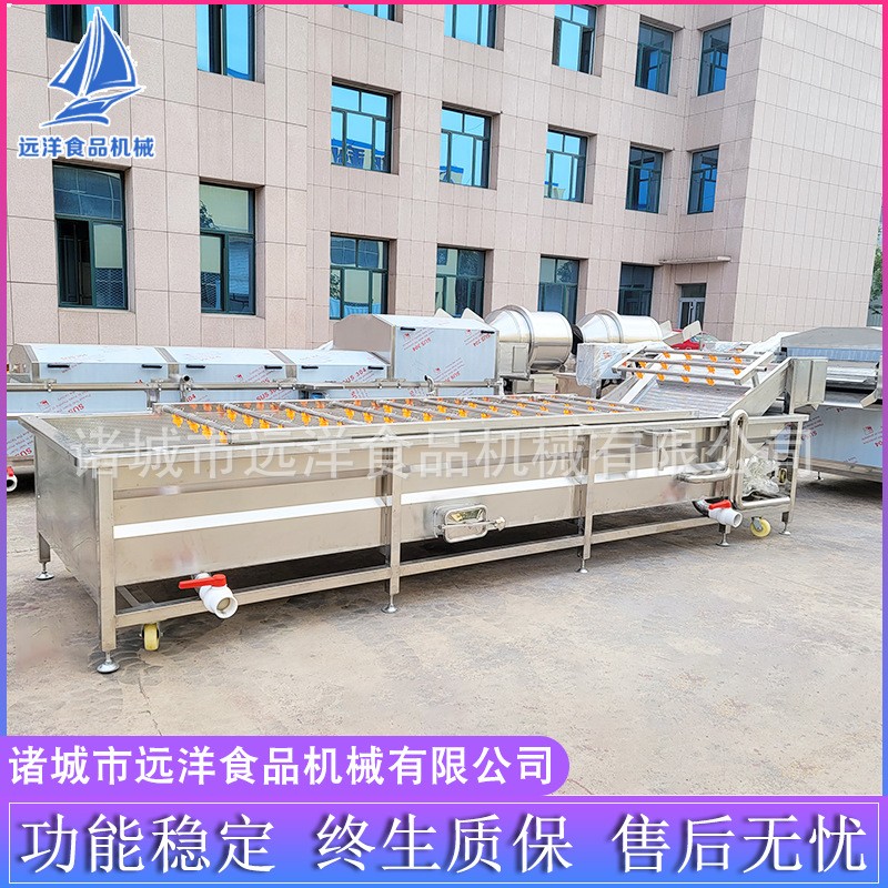 果蔬清洗机 多功能蓝莓葡萄清洗机 喷淋气泡水果蔬菜清洗流水线图5