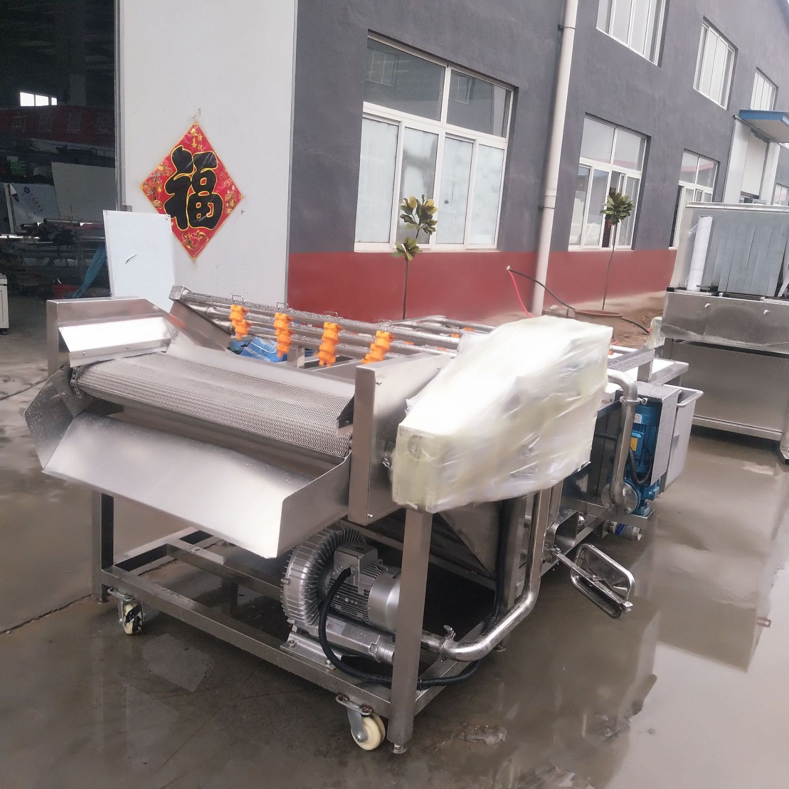 江苏龙虾清洗机 厂家供应小龙虾气泡超声波清洗机流水线图1