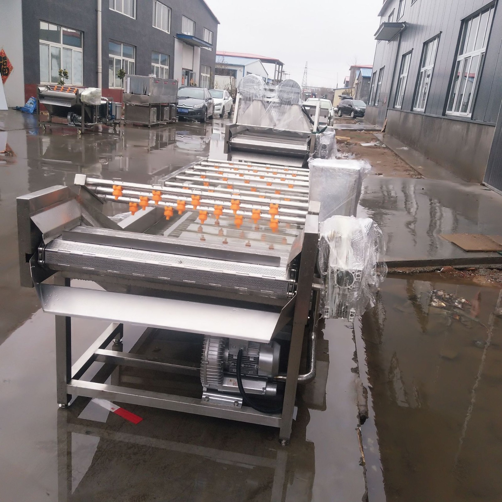 江苏龙虾清洗机 厂家供应小龙虾气泡超声波清洗机流水线图3