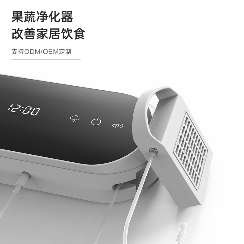 果蔬清洗净化器家用蔬菜清洗机双仓去农残降解激素厂家直供图3