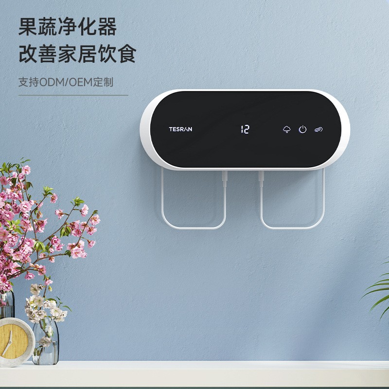 果蔬清洗净化器家用蔬菜清洗机双仓去农残降解激素厂家直供图2