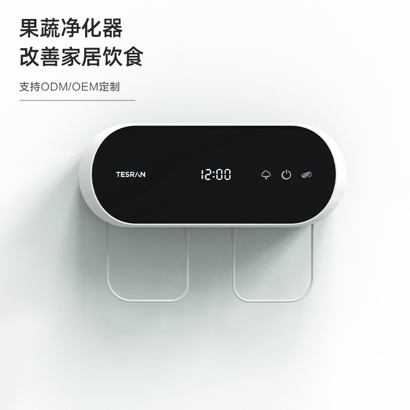 果蔬清洗净化器家用蔬菜清洗机双仓去农残降解激素厂家直供图4