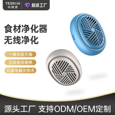 便携果蔬清洗净化器家用洗菜净化消毒清洗机羟基去除农残降解激素