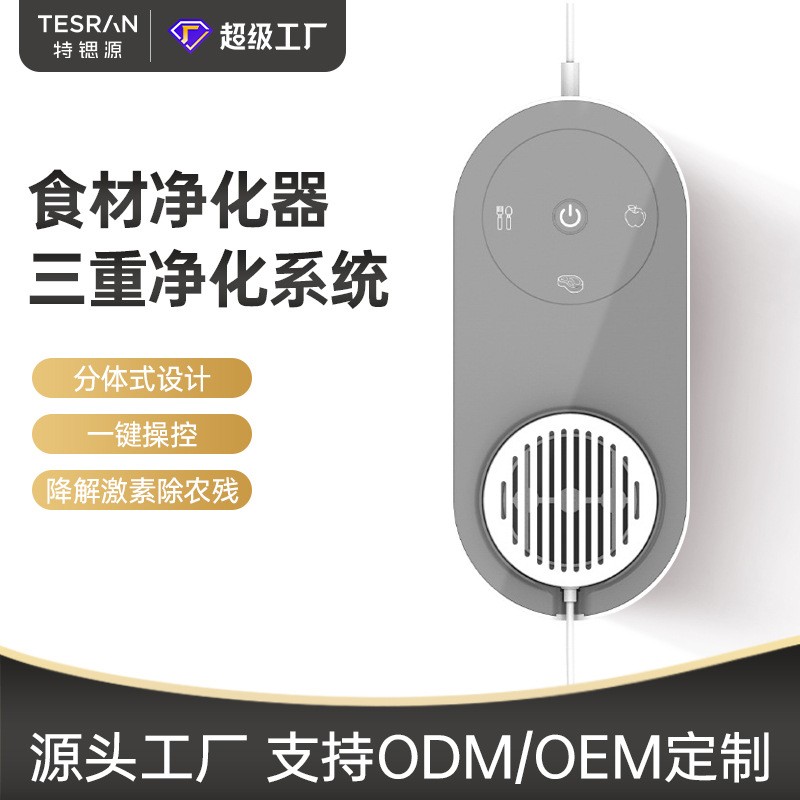 果蔬净化器洗菜消毒羟基电解食材净化器果蔬清洗机厂家直供图2