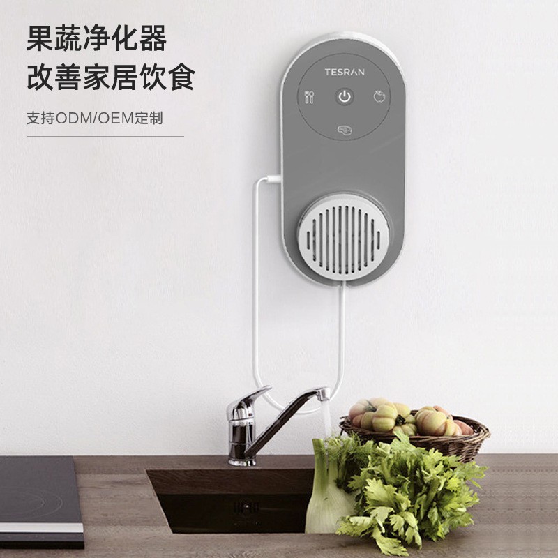 果蔬净化器洗菜消毒羟基电解食材净化器果蔬清洗机厂家直供图3