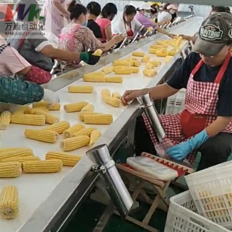 不锈钢气泡清洗机玉米蔬菜清洗流水线全自动玉米清洗加工成套设备图3